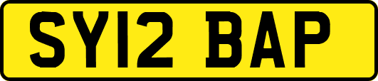 SY12BAP