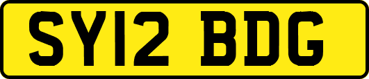 SY12BDG