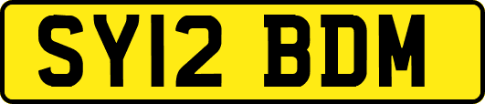 SY12BDM