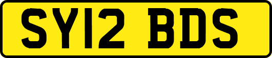SY12BDS