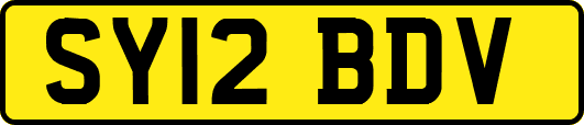 SY12BDV