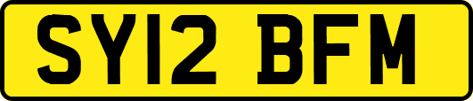 SY12BFM