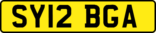 SY12BGA