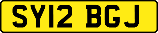 SY12BGJ