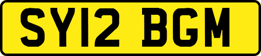 SY12BGM