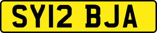 SY12BJA