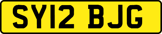 SY12BJG