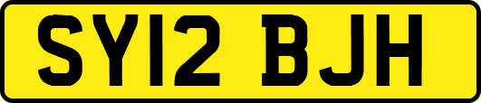 SY12BJH