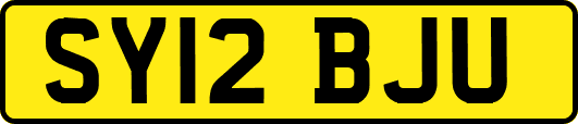 SY12BJU