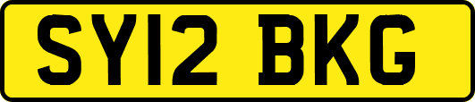 SY12BKG