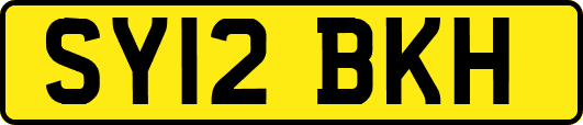 SY12BKH