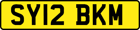 SY12BKM
