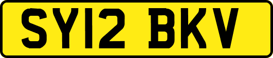 SY12BKV