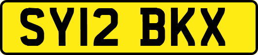 SY12BKX