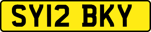 SY12BKY