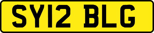 SY12BLG