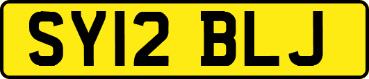 SY12BLJ