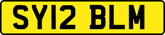 SY12BLM