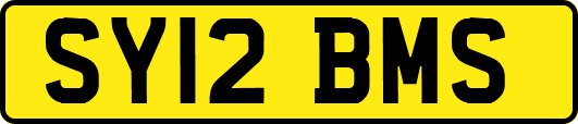 SY12BMS