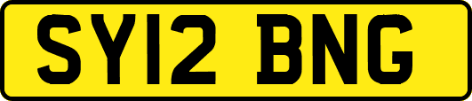 SY12BNG