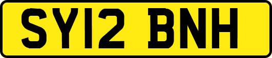 SY12BNH