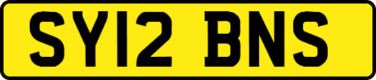 SY12BNS