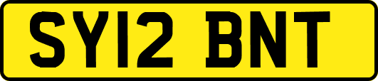 SY12BNT