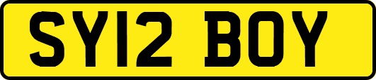 SY12BOY