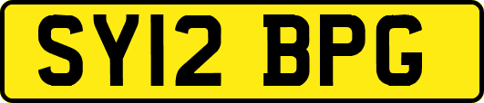 SY12BPG