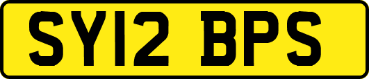 SY12BPS
