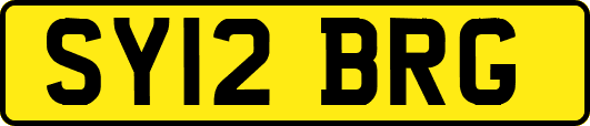 SY12BRG