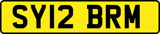SY12BRM