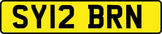 SY12BRN