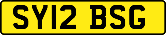 SY12BSG