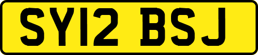 SY12BSJ