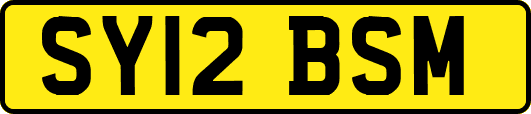SY12BSM