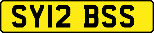 SY12BSS