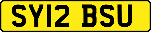 SY12BSU