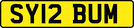 SY12BUM