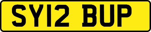 SY12BUP