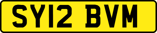 SY12BVM