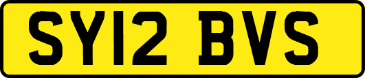 SY12BVS