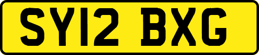 SY12BXG