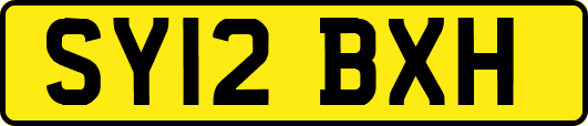 SY12BXH
