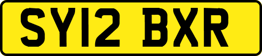 SY12BXR