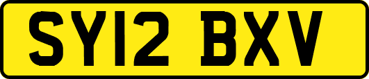 SY12BXV