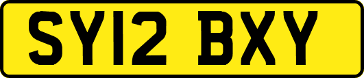 SY12BXY