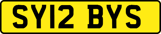 SY12BYS