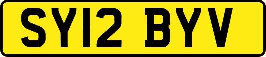 SY12BYV