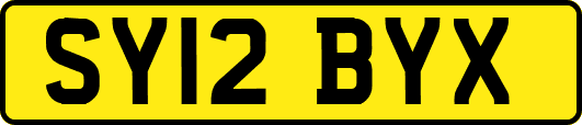 SY12BYX